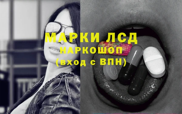 прущая мука Бородино
