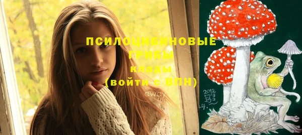 прущая мука Бородино