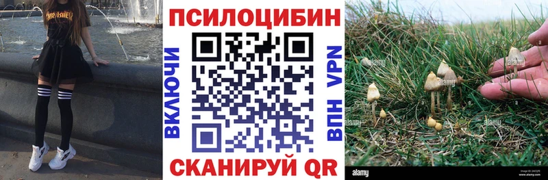 блэк спрут ССЫЛКА  Миасс  Галлюциногенные грибы Magic Shrooms 